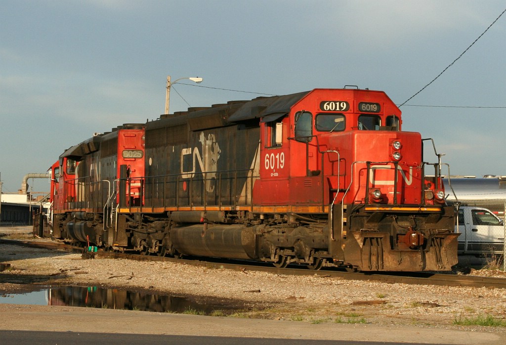 CN 6019